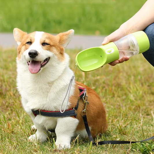 Portable Pet Dog Water Bottle Feeder