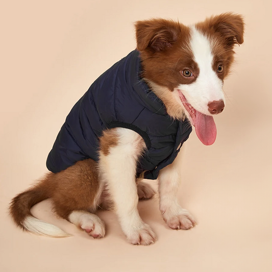 Outdoor Cold Proof Warm Dog Jacket