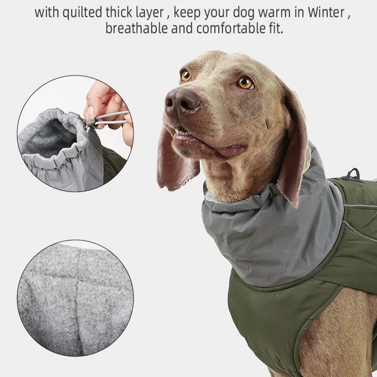 Luxury Winter Jacket for Dogs - Furry Club