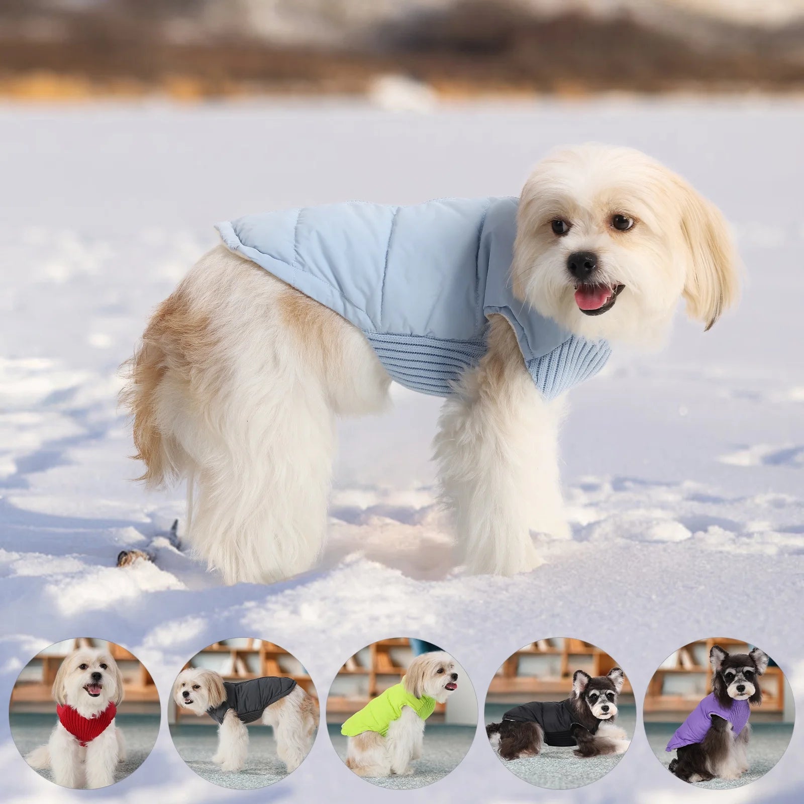 Winter Pet Dog Jacket - Furry Club