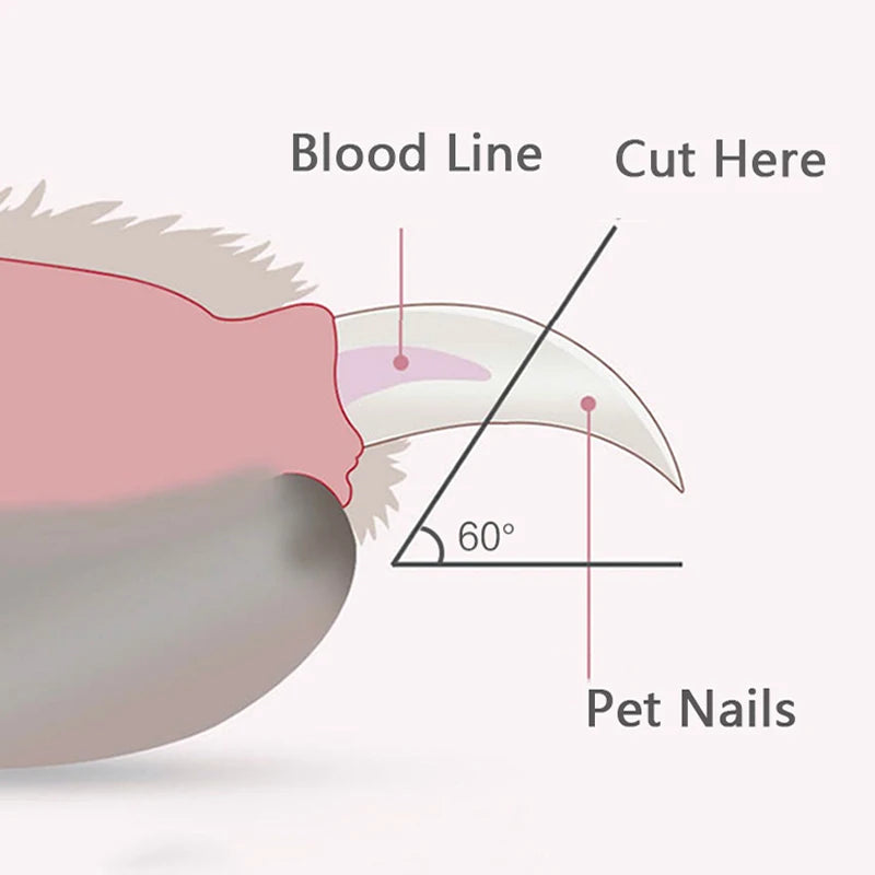 Professional Pet Nail Clipper - Furry Club