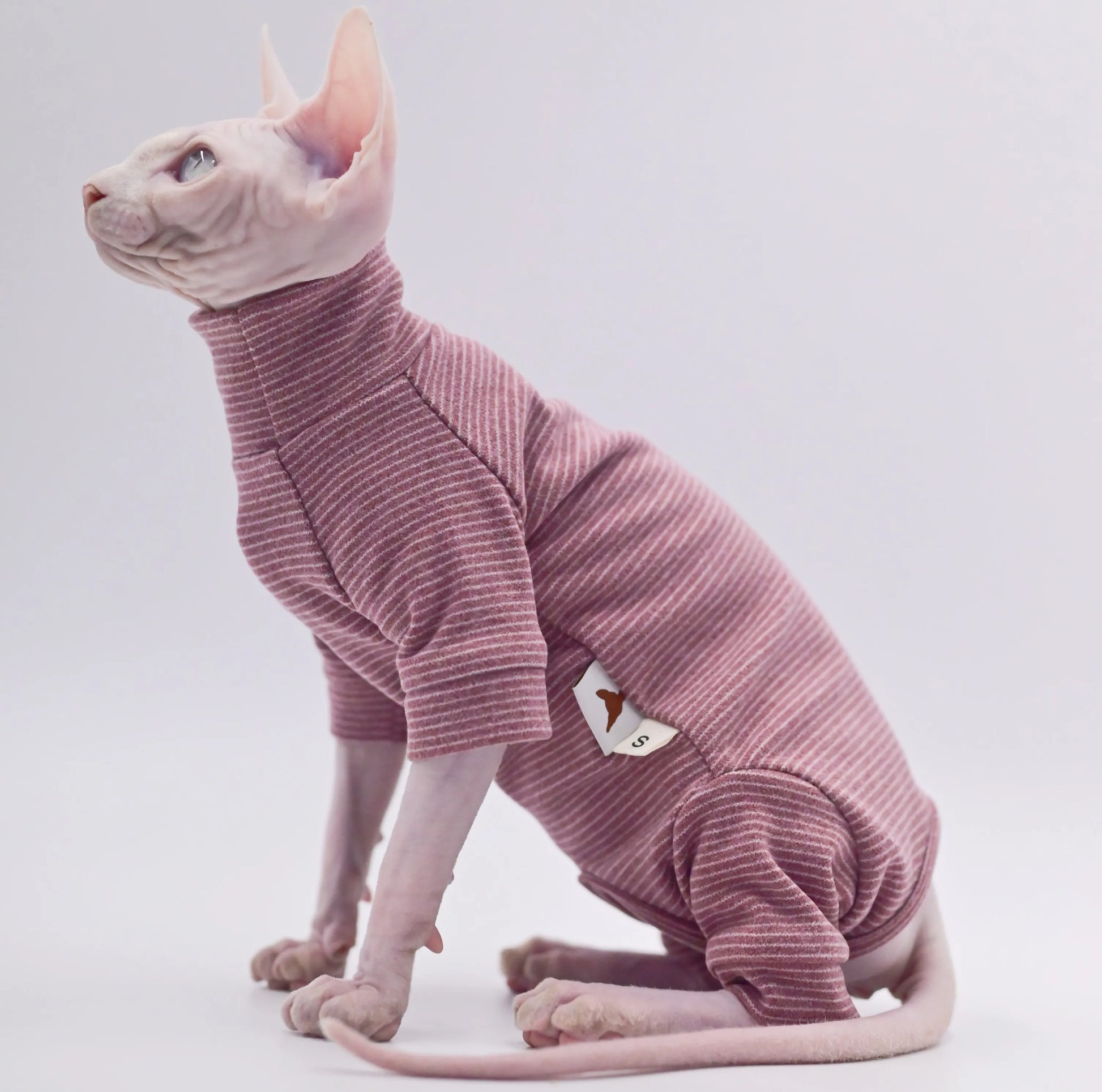 Warm Hoodie for Hairless Cats - Furry Club