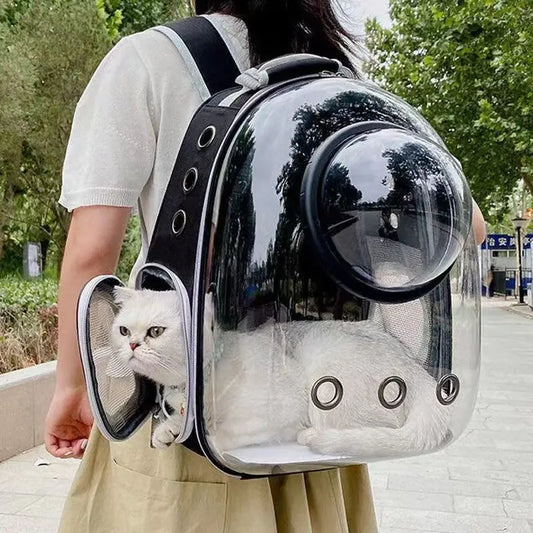 Transparent Pet Cat Carrying Backpack - Furry Club