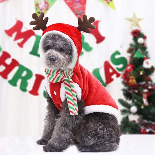 Christmas Santa Costume for Dogs - Furry Club