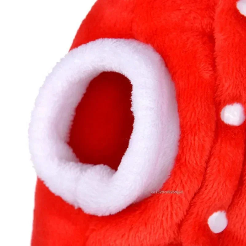 Christmas Santa Costume for Dogs - Furry Club
