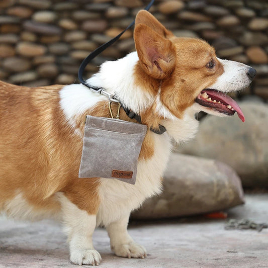 Portable Dog Training Snack Bag - Furry Club