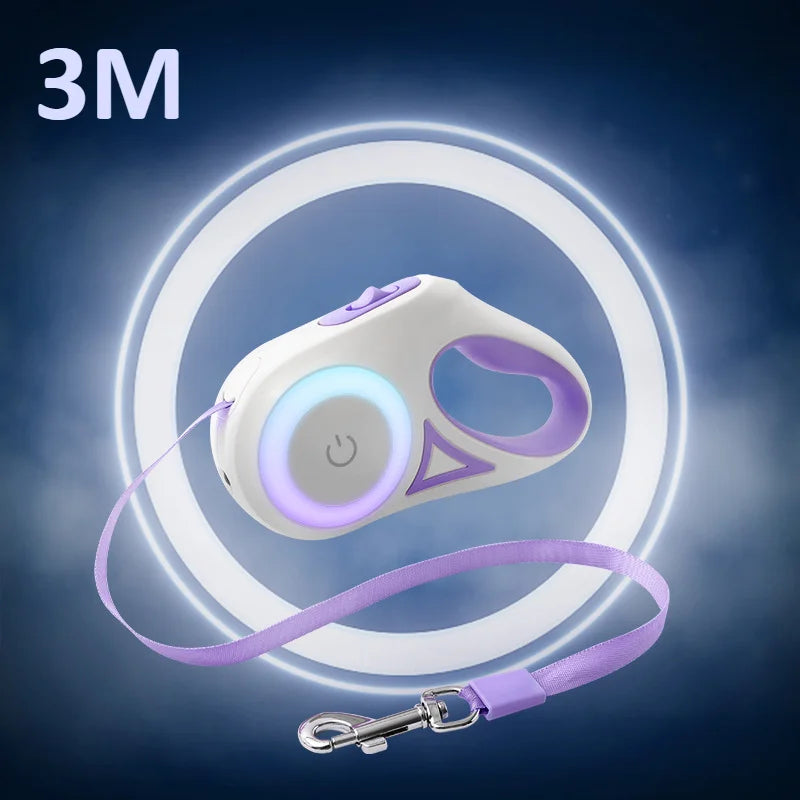 45931306254580