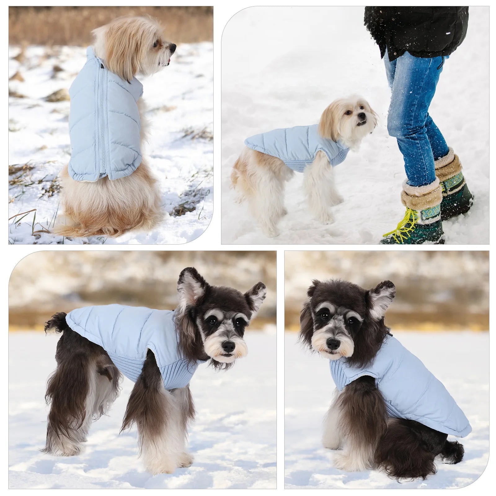 Winter Pet Dog Jacket - Furry Club