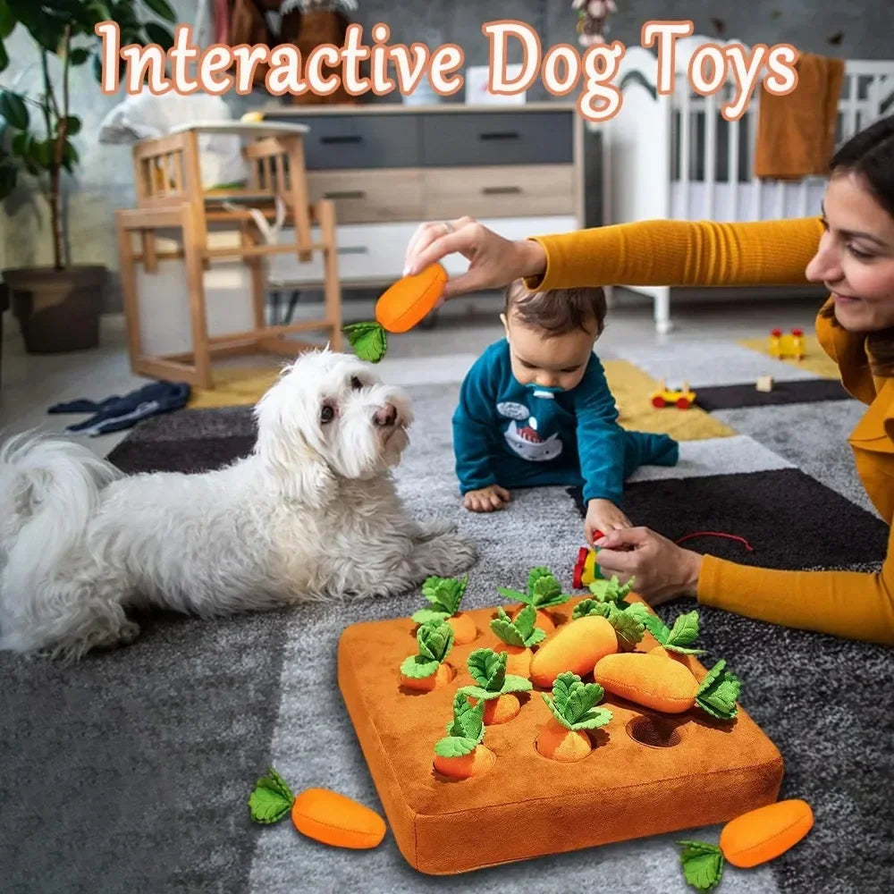 Carrot Snuffle Mat for Dogs Cats Training Toy - Furry Club