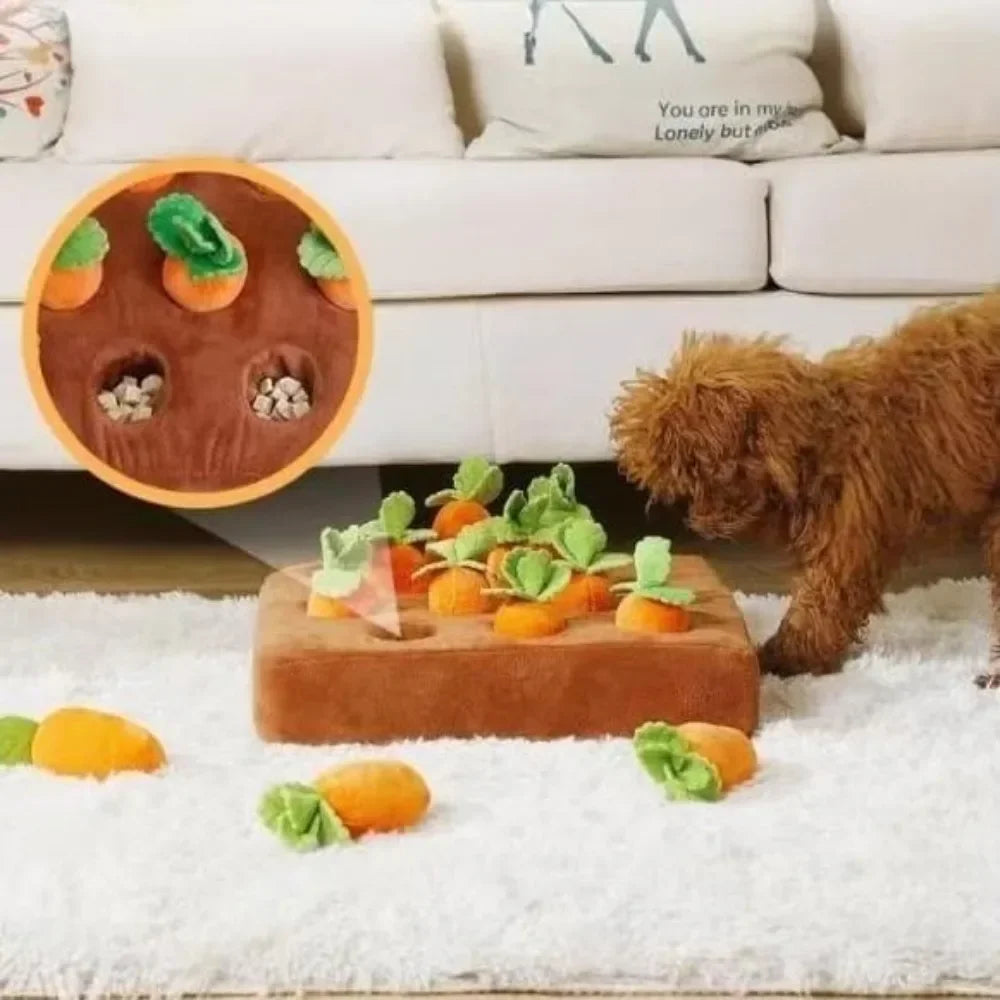Carrot Snuffle Mat for Dogs Cats Training Toy - Furry Club