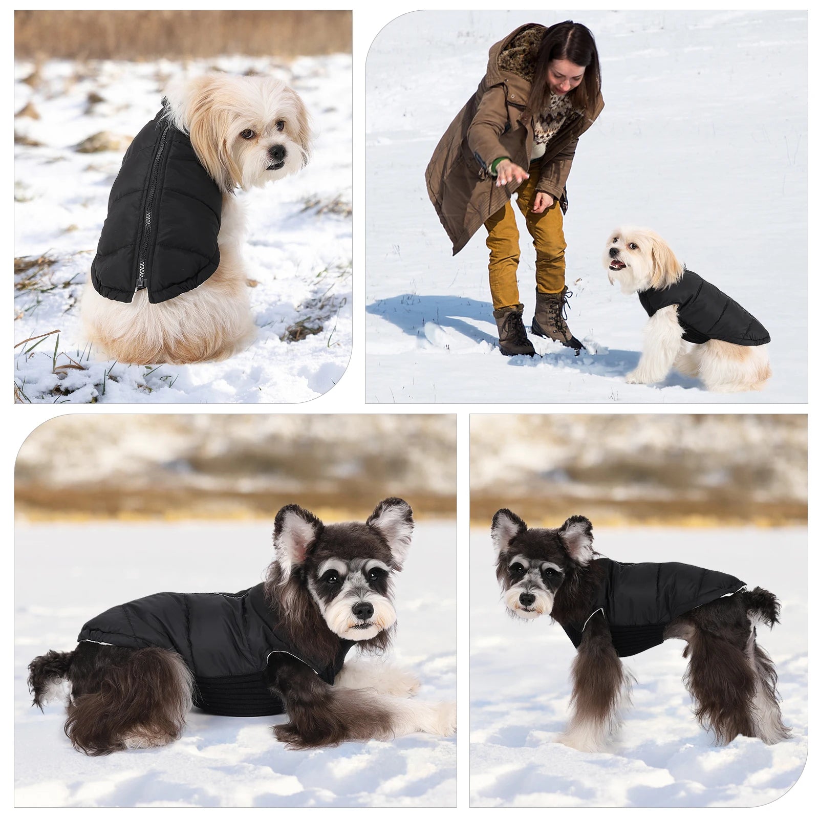 Winter Pet Dog Jacket - Furry Club