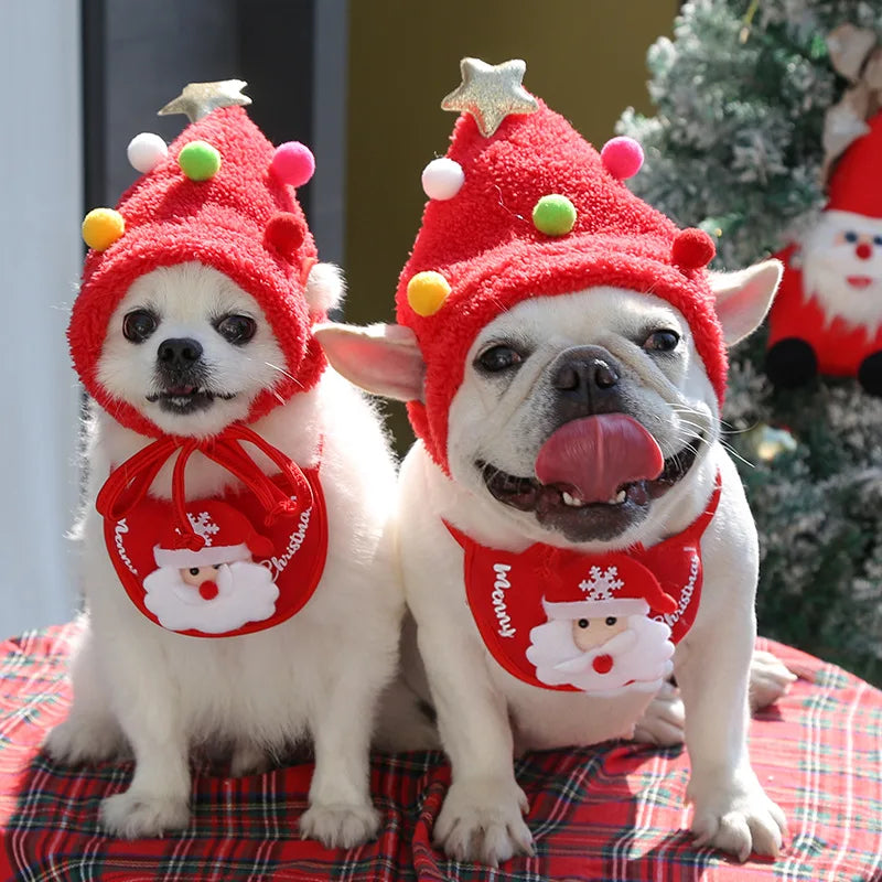 Christmas Santa Costume for Dogs - Furry Club