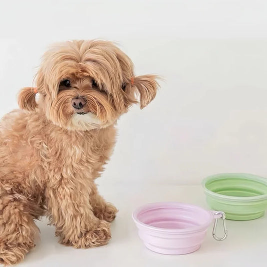 Portable Pet Folding Silicone Bowl - Furry Club