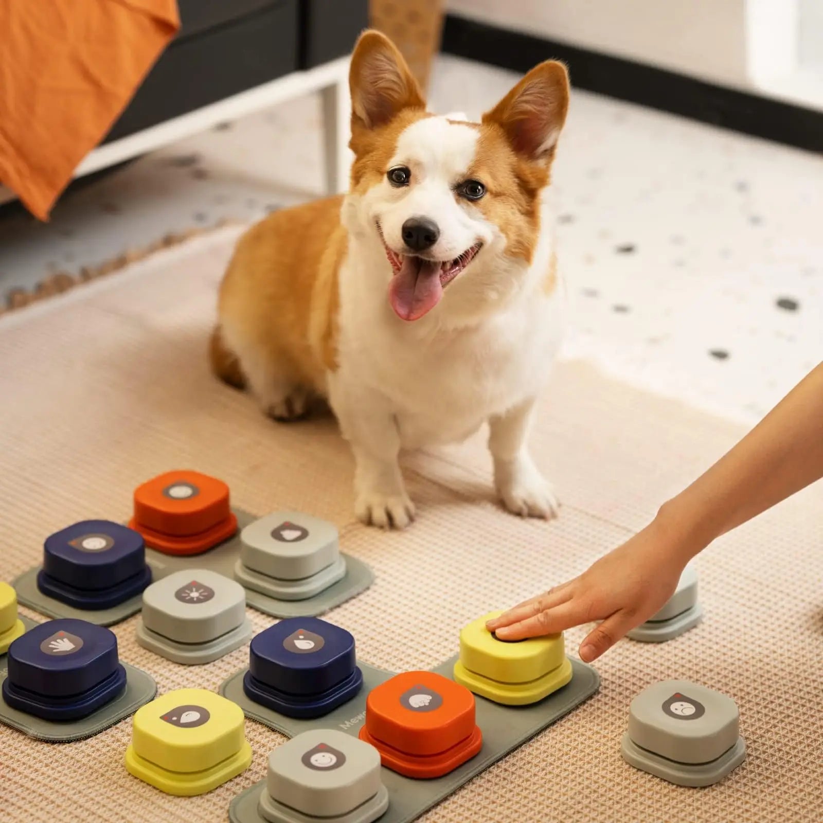 Interactive Dog Talking Button System - Furry Club