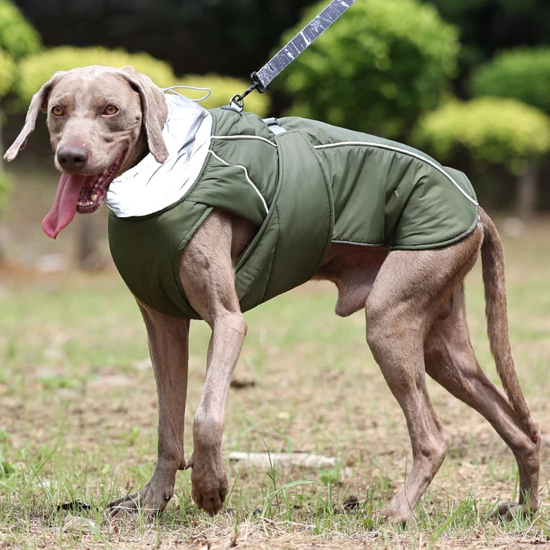 Luxury Winter Jacket for Dogs - Furry Club