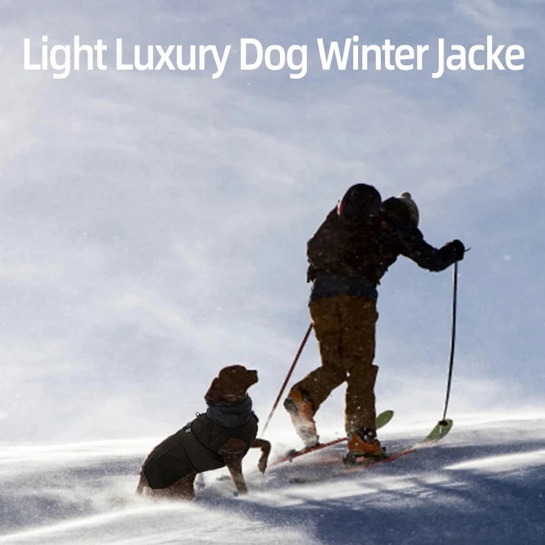 Luxury Winter Jacket for Dogs - Furry Club